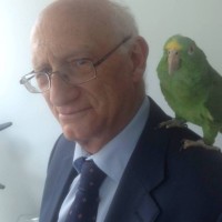 José Antonio Echagüe Méndez de Vigo