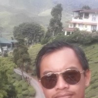 Hairie Komeng