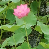刘敬磊
