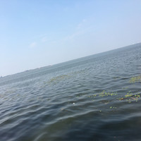 曹建国