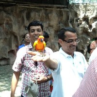Sudheer Jadhav