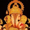 Godavari Patil