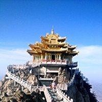 尼东阳