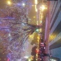 刘昆鑫