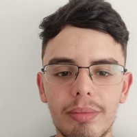 Luiz Guilherme Modler Dos Santos