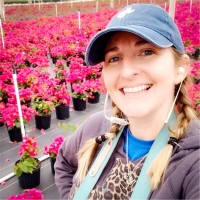 Sara Ann Schreiber-Pena