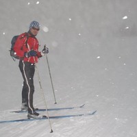 Svein Bertheussen