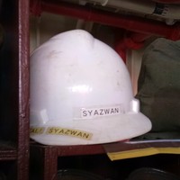 Md Ali Syazwan Hanapi