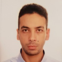 Amr Elreefy