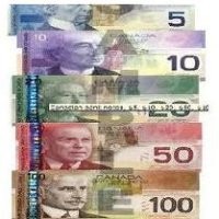 The Money Guy