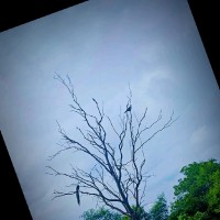 Ajay Kumar Reddy