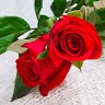 Abdul Hameed
