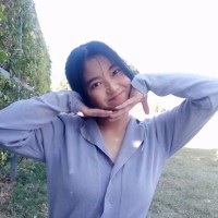 Noyy Lin