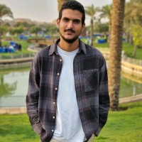 Ali Nasr