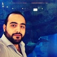 Lutfi Amer