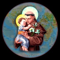 Saint Francis Evolution Company