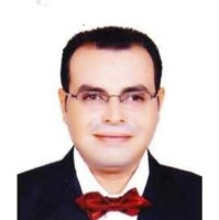 Essam Shawky Tawfek