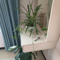 刘新远