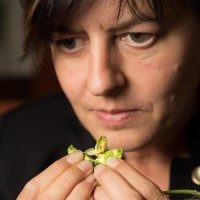 Anja Buckenmaier-Murena