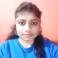 Veena S N