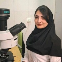 Elham Hosseini