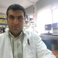 Abed Balaum