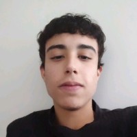 Vinícius Mendes Martins