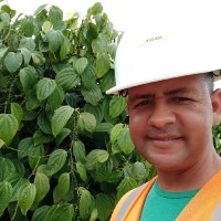 Adilson Silva Pinto Silva