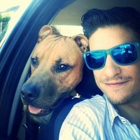 Matteo Di Marco