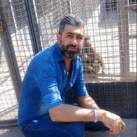 Yaser Naseri