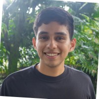 Andrés Alejandro Insignares Pérez