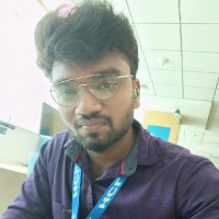Vignesh N M