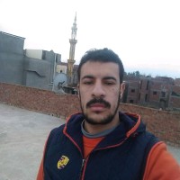 محمد عبد الحافظ