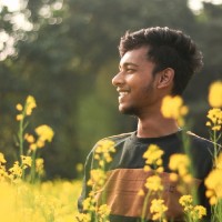 Abhisek Roy