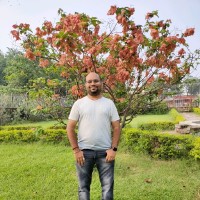 Naveen Mishra