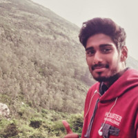 Vignesh Krishnakumar