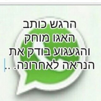 ריקי לוי