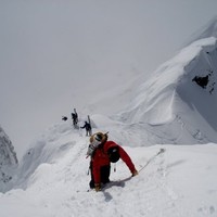 Will Sumner