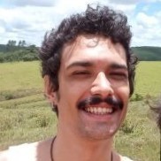 Vinicius Pascini Prado Silva