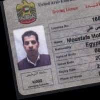 Moustafa Abd-Alnaby