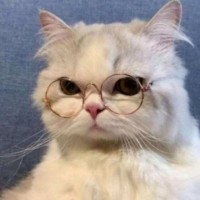 李信诚