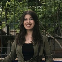 Melisa Yılmaz