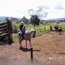 Walcelio Cardoso