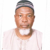 Danlami Umar, Zuru