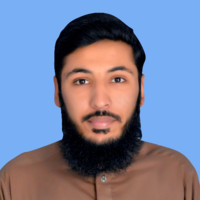 Muhammad Hassan Saifi