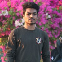 Rajesh Kumar Jena