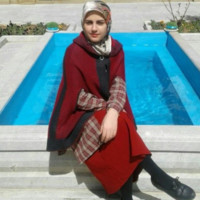 Marjan Salehi