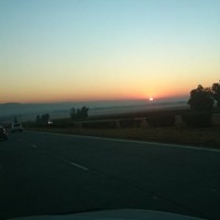 Morgan Luke Petersen