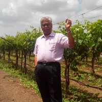 S. Subramanian