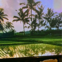 DJOUDJOU NICOLAS AKANRO